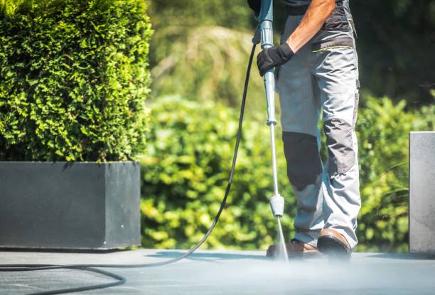 Best Roof Washing  in Wood River, NE