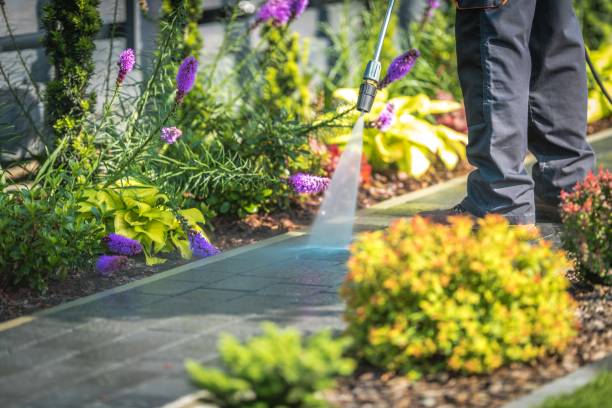 Reliable Wood River, NE Pressure Washing Services Solutions
