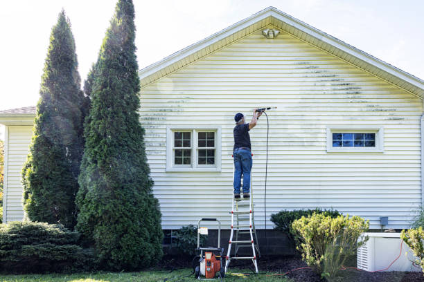 Best Solar Panel Cleaning  in Wood River, NE
